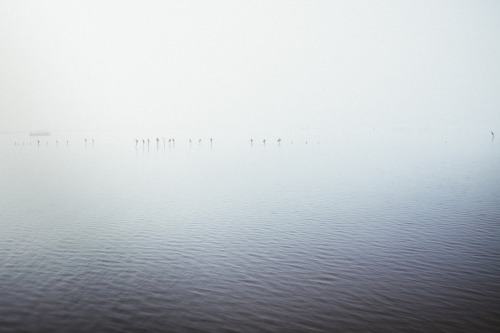 { By The Boardwalks, Under The Clouds }