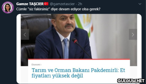 Gamze TAŞCIER -...