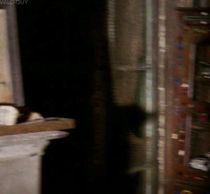 bitchcraftandwiggatry:  when you hear white girls calling their curly hair “nappy”