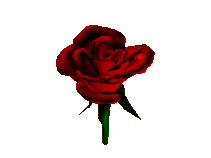 bleed-thru:  corny rose gifs. I wonder if people actually think these are romantic?