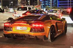 automotivated:  Mansory (by nb-driver Photography)