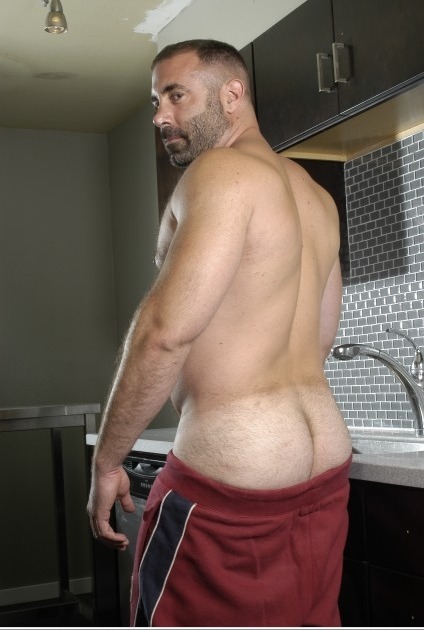 hairy cub gay ass