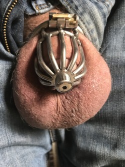 painboyshs:New Cage, with a urethral tube