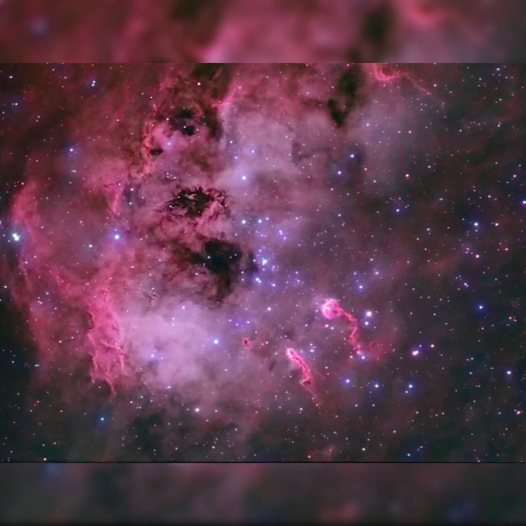 The Tadpoles of IC 410 #nasa #apod #nebula #ic410 #cosmic #dust #gas #tadpoles #ngc1893