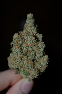 incredible-kush:  Green fire (green crack