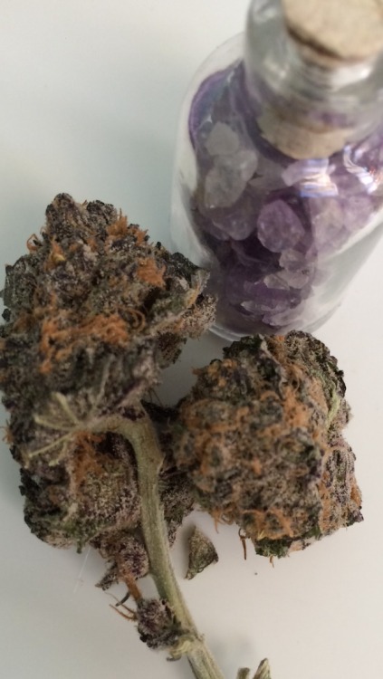 the-stoner-sage:  Crystals everywhere 💜