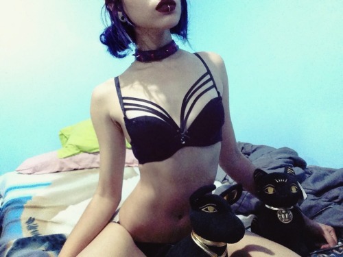 nekoxmancer:  Finally collared by master n.n  it’s puurfect :3 I’ll take some more soon c: ♡