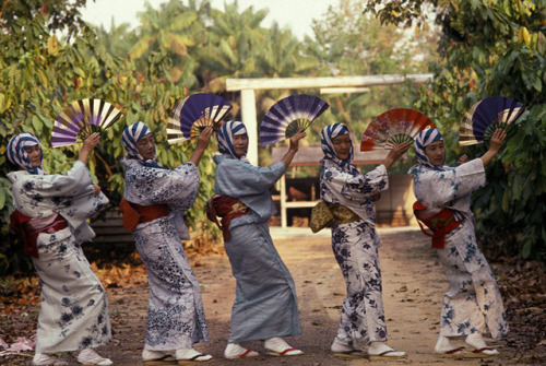 Tomé Açu, Pará a Japanese colony in the Brazilian Amazon“Tome-Acu is, fittingly perhaps, a hybrid of