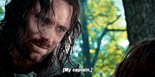 LORD OF THE RINGS: FELLOWSHIP OF THE RING