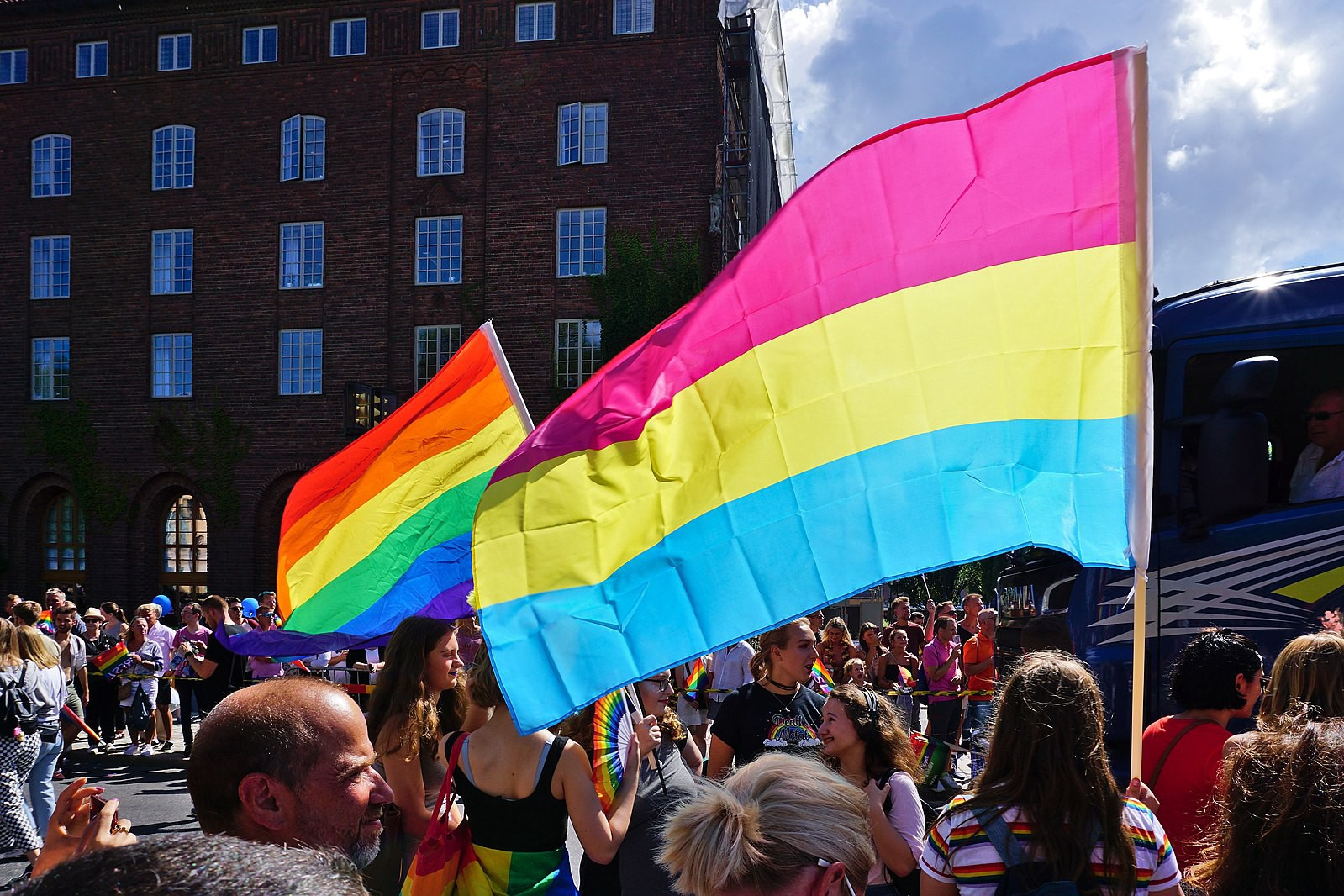 steppingonshatteredglass-deacti:pan pridehere are some images of pansexual pride