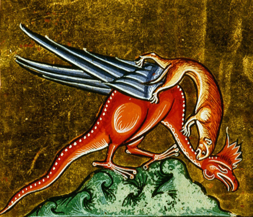 weasel attacking a basilisk‘The Ashmole Bestiary’, England 13th centuryBodleian Library, MS. Ashmole