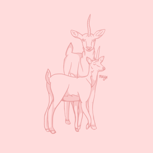 pinksweet:dwarf unicorn
