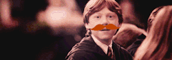 Gif-Giz:  Http://Gif-Giz.tumblr.com/ 