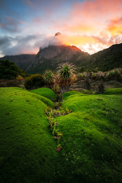 radivs:  South-West National Park, Tasmania by Chris Wiewiora