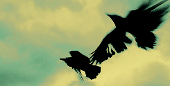 arthurpendragonns: I solemnly swear that I am up to no good.