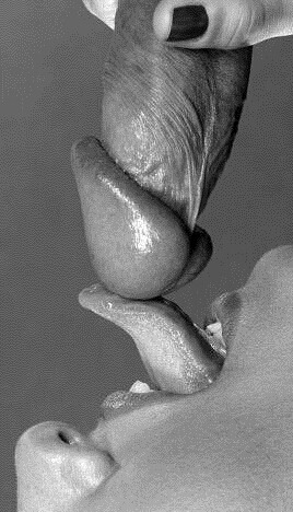 tasteofsex:  💋  