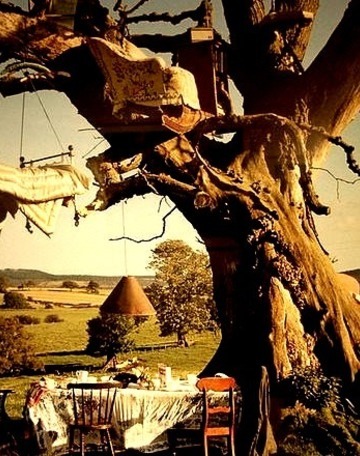 Treehouse, Great Britain