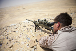 militaryarmament:  A Marine with the 26th Marine Expeditionary Unit, Maritime Raid Force fires a M40A5 sniper rifle while conducting a marksmanship training exercise at a range in Qatar, April 22, 2013. 