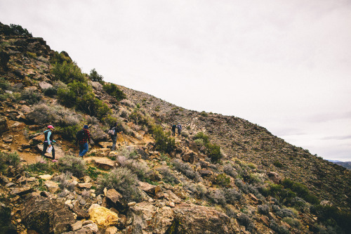 Mt. Ryan || Joshua Tree, California.