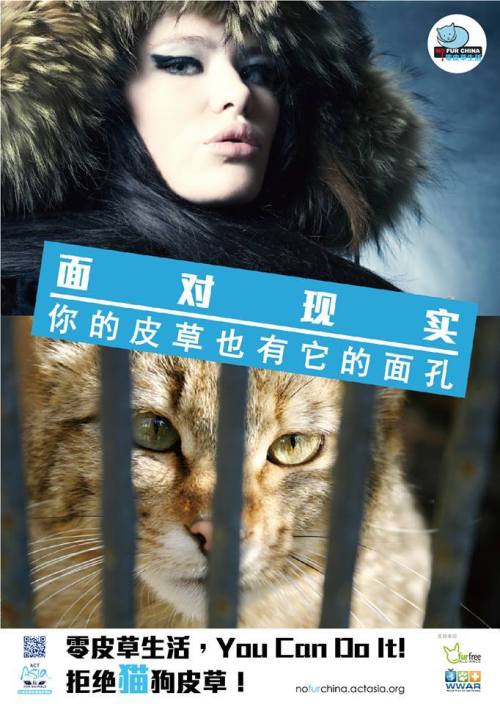 “Your fur had a face”, is a campaign from ActAsia.