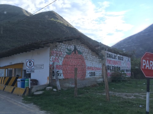 Official political signs, signals and slogans, on adobe brick and plaster walls, seen in various vil