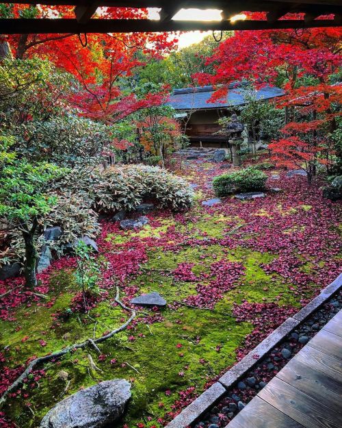 妙心寺 大法院庭園 [ 京都市右京区 ] Myoshinji Daihoin Temple Garden, Kyoto の写真・記事を更新しました。 ーー世界的ロックバンド・U2のボノもお忍びで訪れて