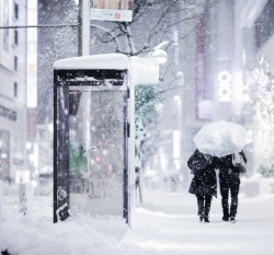 TOKYO Shinjuku credit