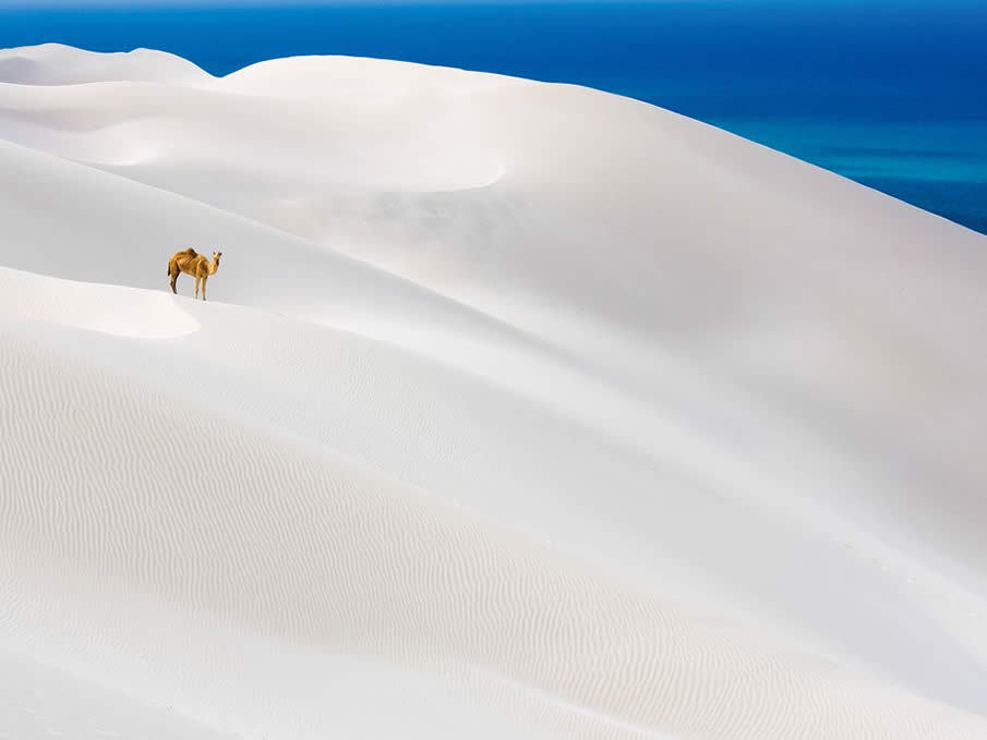 Sea of white (Socotra Island in the Indian Ocean, 240km east of the Horn of Africa).