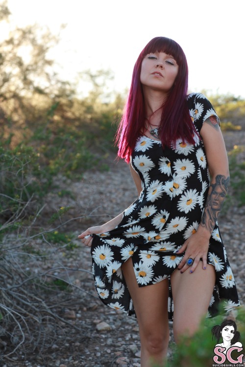 suicidegirlslover:  Plush Suicide