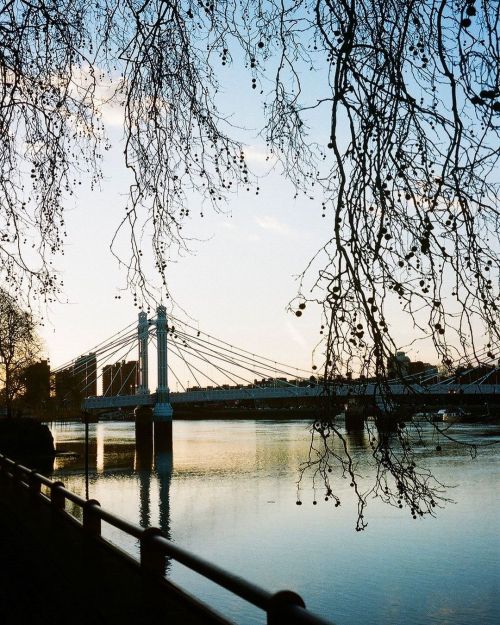 Evenings strolling around Chelsea #35mm #londononfilm (at London, United Kingdom) www.instag