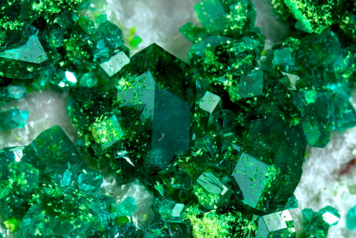 underthescopemin:Dioptase with BayldoniteVery sharp Dioptase crystals, small but with very well defi