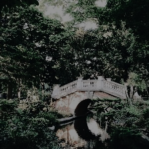 taehyunas:  CLASSIC ART MOODBOARDS:  monet’s water lilies