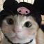 furryitchu
