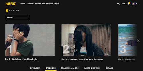 HAEFLIX STREAMING SERVICE