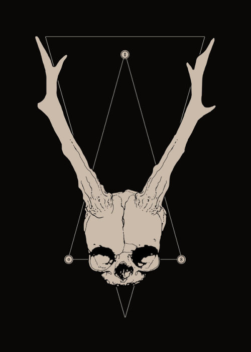 visera:  torvenius 