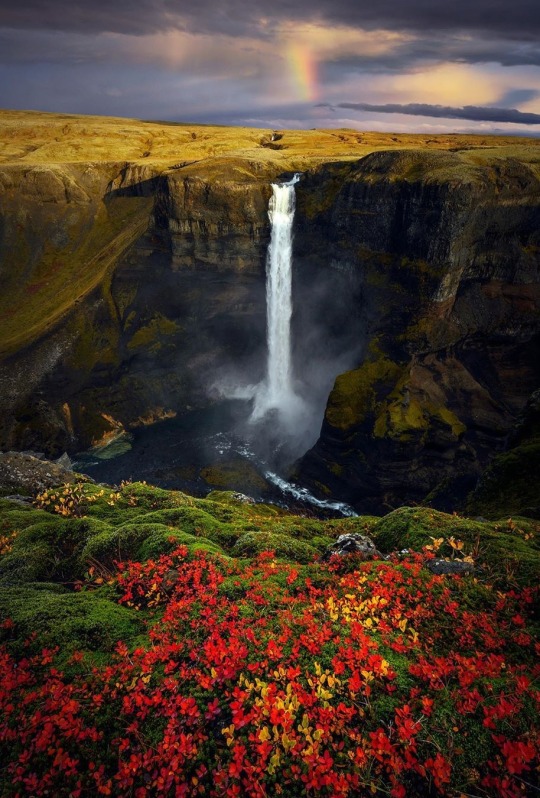 NATURALEZA,PAISAJES,CASCADAS 1 - Página 32 77abe64e23755f49db474ee4b25fd5cb32e62cff