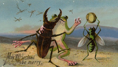 talesfromweirdland: May Christmas be merry. Victorian-era Christmas card. A stag beetle and a frog d