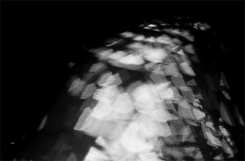 maudit:  "Why am I me and why not you?Why am I here and why not there?When did time begin and where does space end?"