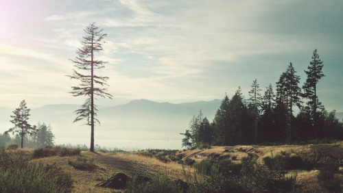 significvnt:  greaterland:  Tyler Forest-Hauser  