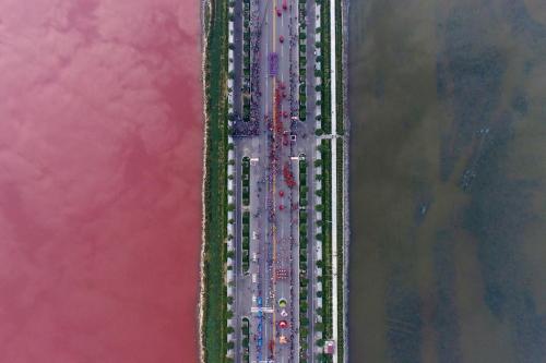 sickpage:  A salt lake which is separated by a road, shows parts of it in different colours due to algae, in Yuncheng, Shanxi Province, China, September 25, 2016. REUTERS/Wei Liang  