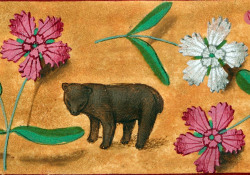 discardingimages:  tiny bear among the flowersHugues de Lannoy, Imaginacion de vraye noblesse, Bruges 1496BL, Royal 19 C VIII, fol. 1r