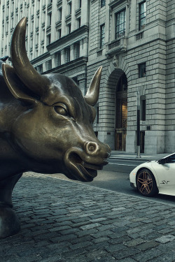 nxstyle:  Bullgame Via.