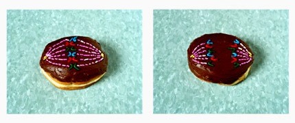 donut mitosis mmmmm