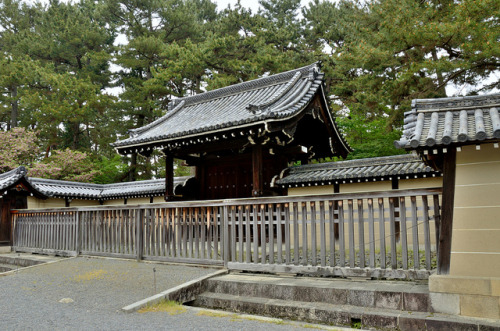 Kyoto Imperial Palace / 京都御所