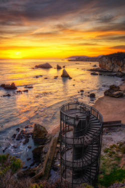 tulipnight:  Leftover Steps by Mark Gvazdinskas