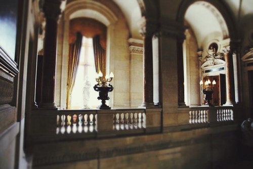 xshayarsha:Musee du Louvre, Paris.