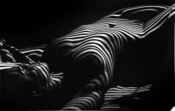 zeroing:  Nude Zebra 