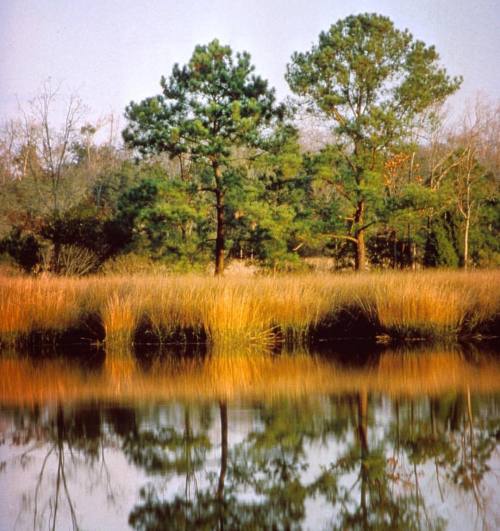 Happy #FirstDayOfFall y'all! Who&rsquo;s ready for cooler weather, the vibrant reds and oranges 