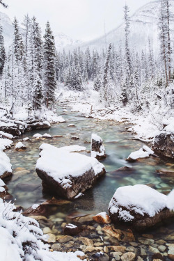 banshy:  Marble Canyon // Daniel Han 