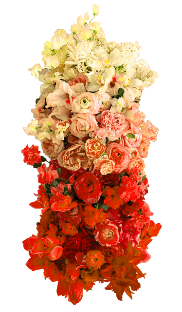 divine-genesis:  Transparent Roses. Made by ॐ  I love transparent flowers on my